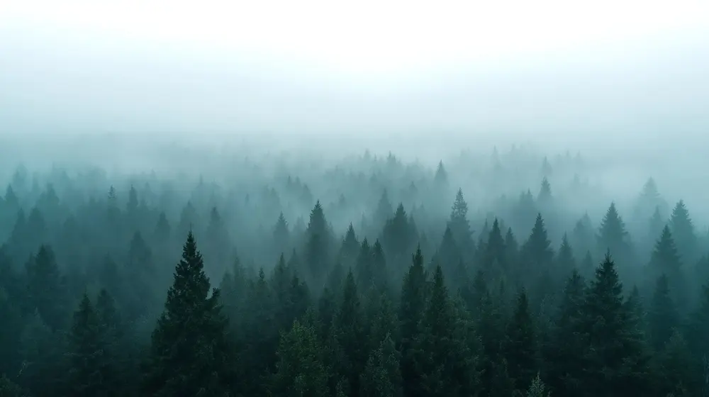 Flux: The Open-Source Speed Demon Revolutionizing AI Art