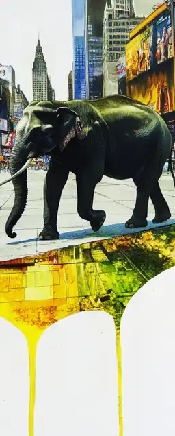 an elephant walking on times square in new york