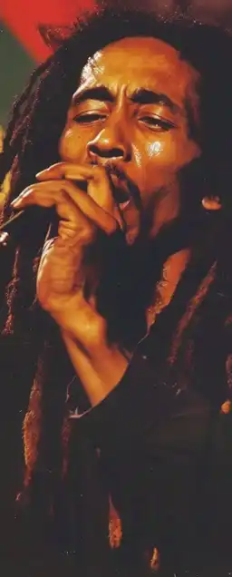 close up shot of bob marley