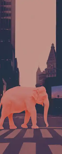 an elephant walking on times square in new york